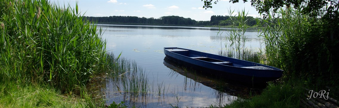 Dreetzer See