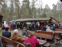 Weihnachtsmarkt 2023 im Arboretum