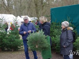 Weihnachtsmarkt 2023 im Arboretum