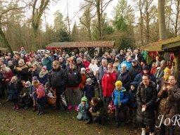 Weihnachtsmarkt 2023 im Arboretum