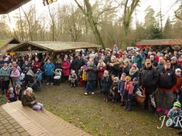 Weihnachtsmarkt 2023 im Arboretum