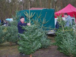 Weihnachtsmarkt 2024 im Arboretum