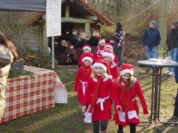 Weihnachtsmarkt 2025 im Arboretum