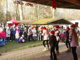 Weihnachtsmarkt 2025 im Arboretum