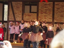 Weihnachtsmarkt 2025 im Arboretum