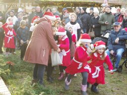Weihnachtsmarkt 2025 im Arboretum