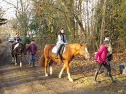 Weihnachtsmarkt 2025 im Arboretum