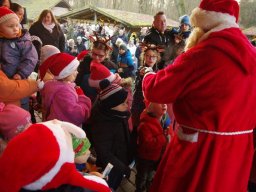 Weihnachtsmarkt 2025 im Arboretum