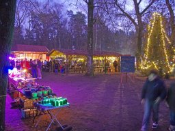 Weihnachtsmarkt 2025 im Arboretum