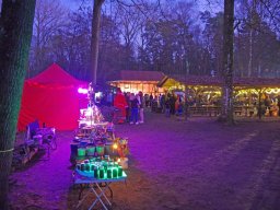 Weihnachtsmarkt 2025 im Arboretum